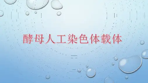 酵母人工染色体载体