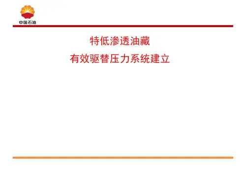 【Selected】特低渗透油藏有效驱替压力系统建立.ppt