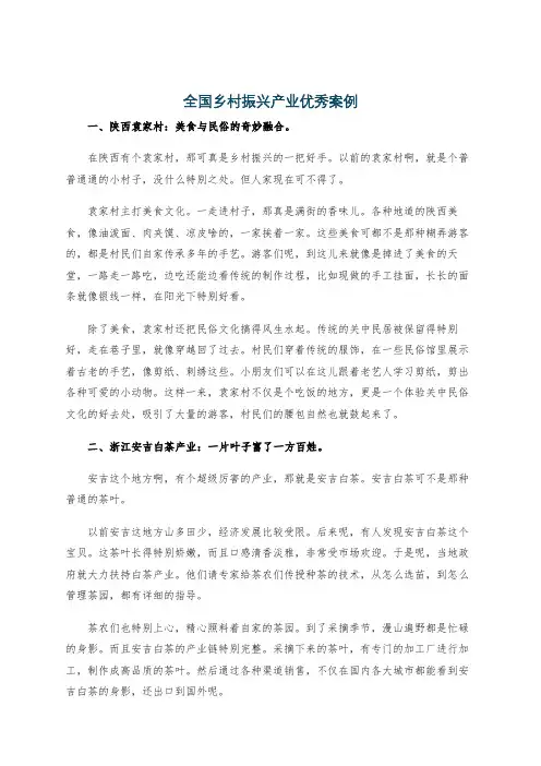 全国乡村振兴产业优秀案例