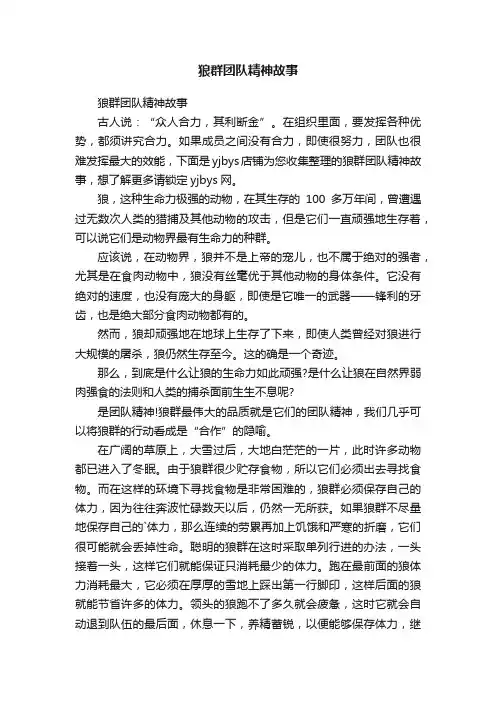 狼群团队精神故事