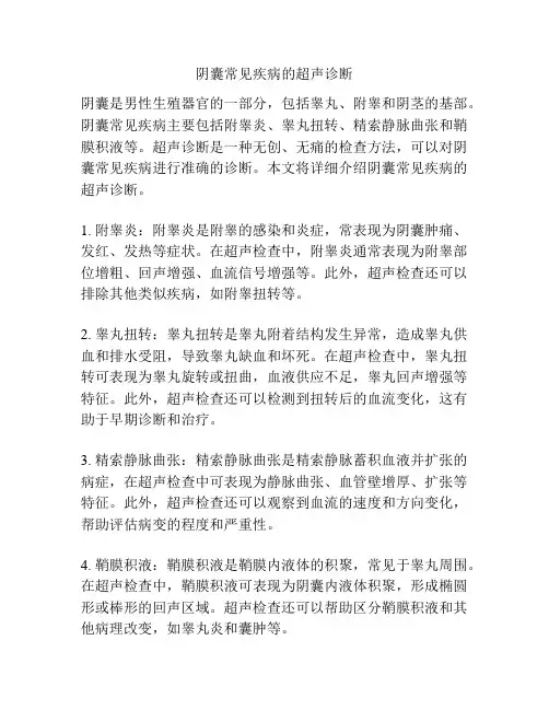 阴囊常见疾病的超声诊断 