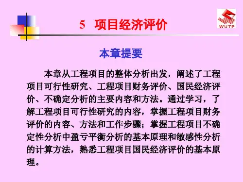 项目经济评价