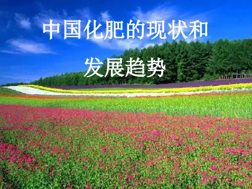中国化肥的现状和趋势ppt课件