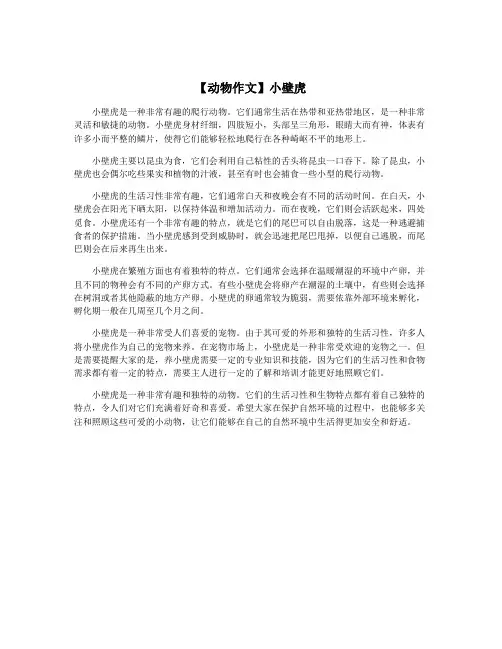 【动物作文】小壁虎