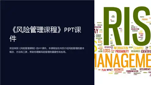 《风险管理课程》课件