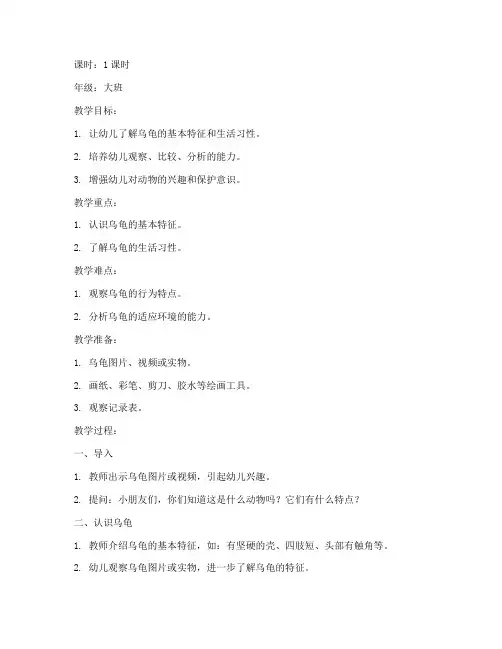幼儿园乌龟探索模板教案