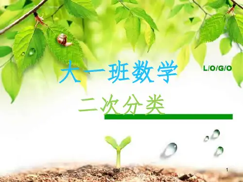 大班数学二次分类PPT