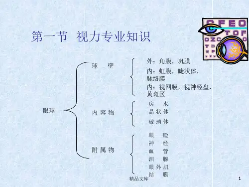 (完整版)眼科知识.ppt