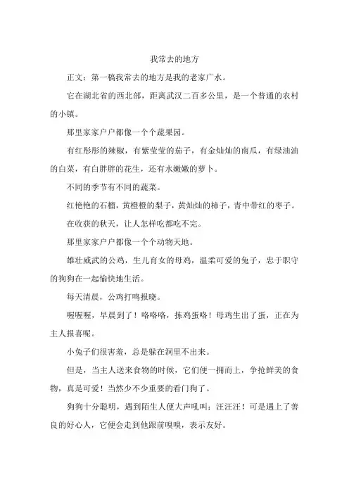 我常去的地方-作文
