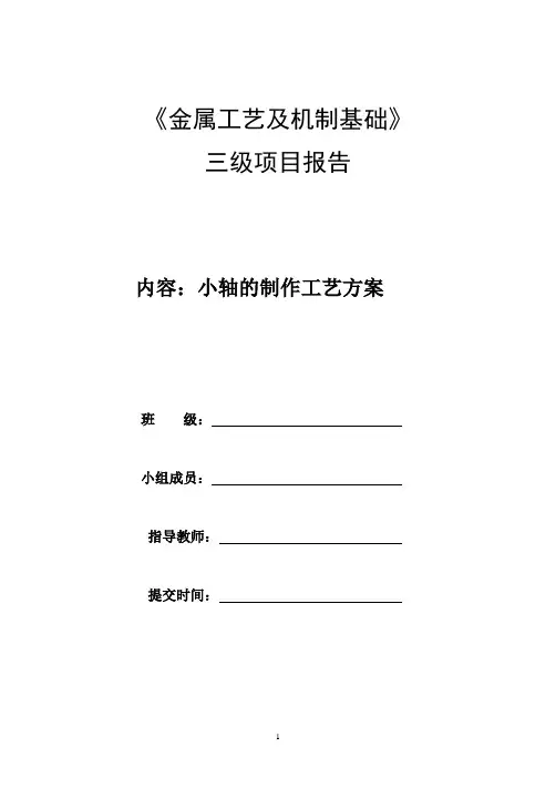 三级项目实例(DOC)