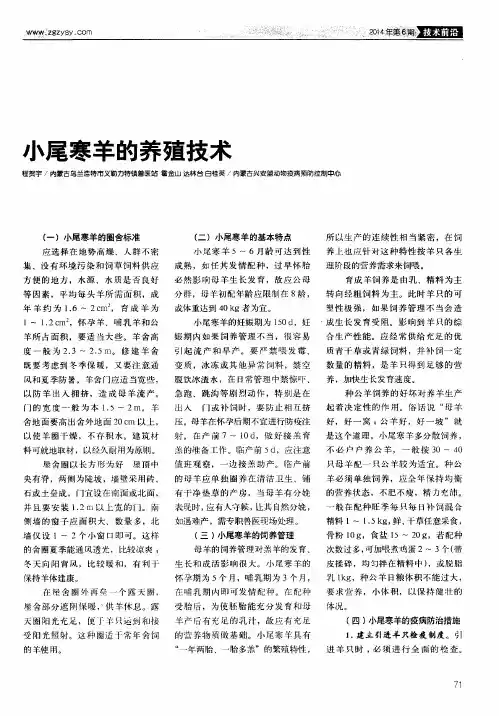 小尾寒羊的养殖技术