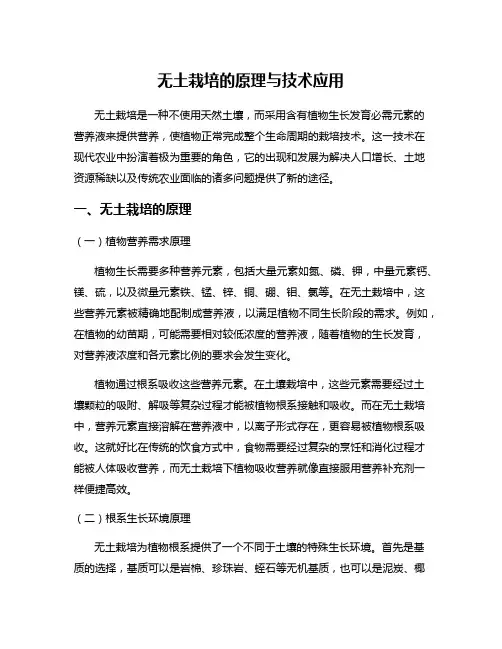 无土栽培的原理与技术应用