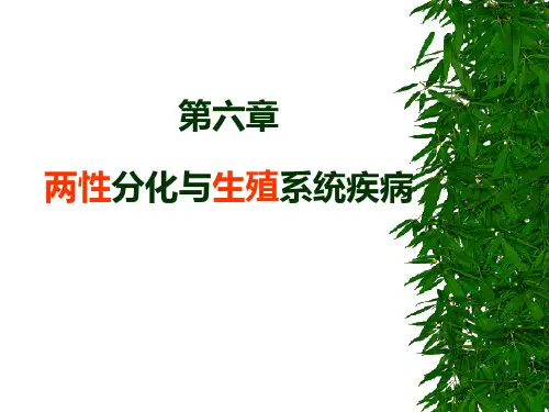第六章两性分化与生殖系统疾病ppt课件