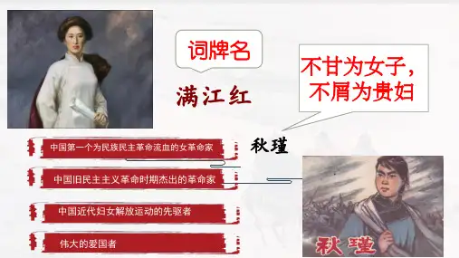 第12课《满江红(小住京华)》课件(共21张ppt)  2021-2022学年部编版语文九年级下册