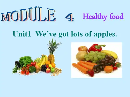 外研英语七年级上册Module 4Unit1(共19张PPT)