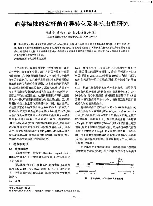 油菜植株的农杆菌介导转化及其抗虫性研究