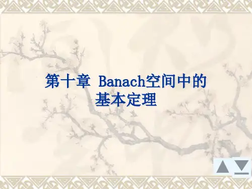 第十章 Banach空间中的基本定理.
