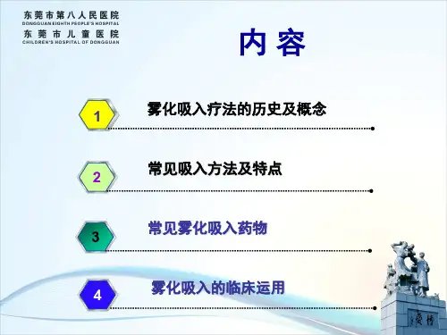 常用雾化药物PPT参考课件