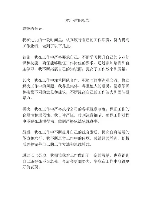 一把手述职报告