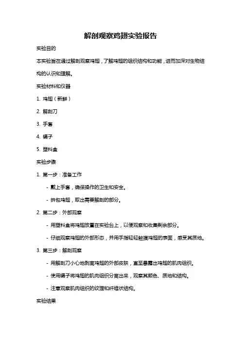 解剖观察鸡翅实验报告
