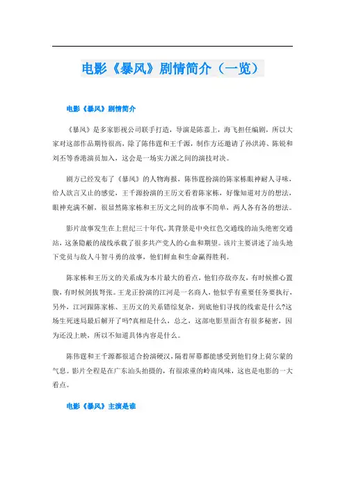 电影《暴风》剧情简介(一览)