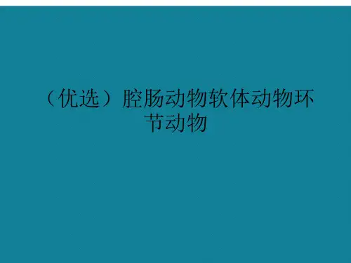 (优选)腔肠动物软体动物环节动物