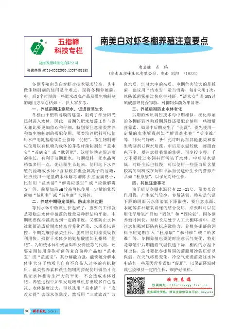 南美白对虾冬棚养殖注意要点