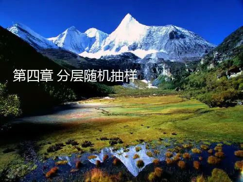第四章分层随机抽样