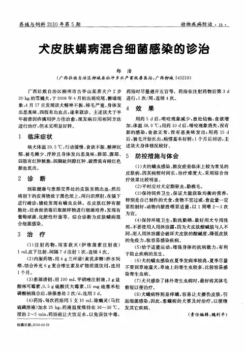 犬皮肤螨病混合细菌感染的诊治