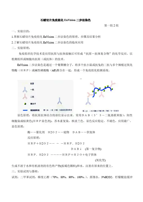 免疫组化EnVision二步法染色