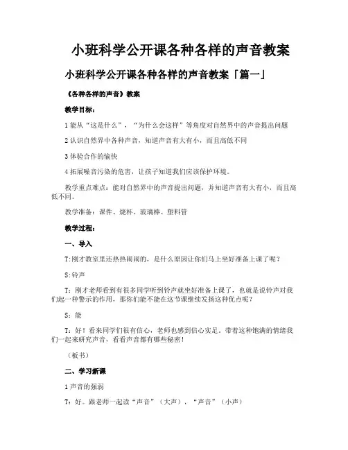 小班科学公开课各种各样的声音教案