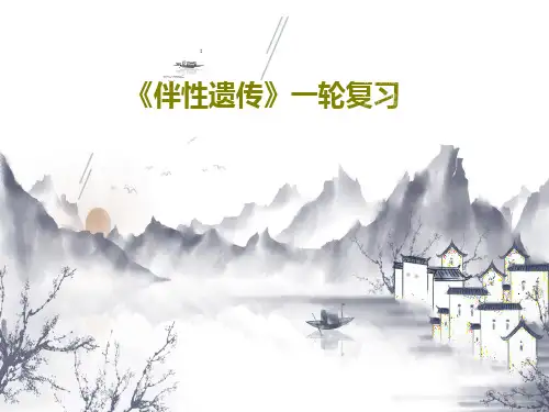 《伴性遗传》一轮复习共38页文档