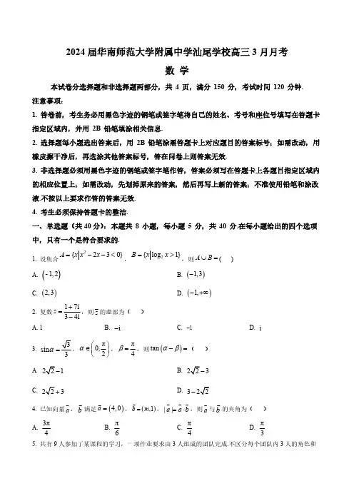 广东省汕尾市华南师范大学附属中学汕尾学校2024届高三下学期3月月考数学试题(含答案与解析)