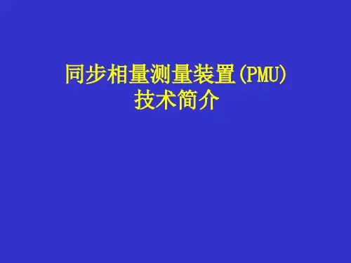 PMU基本介绍专业知识讲座