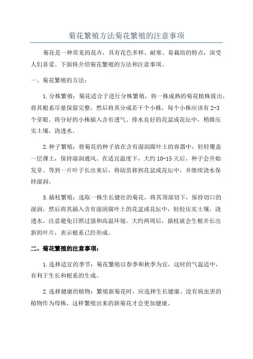 菊花繁殖方法菊花繁殖的注意事项