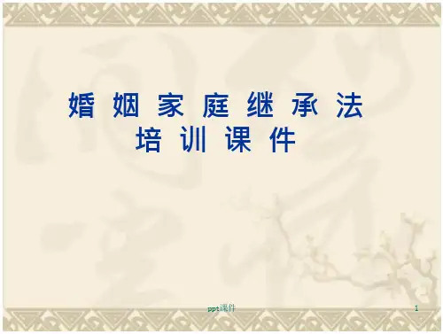 婚姻家庭继承法培训