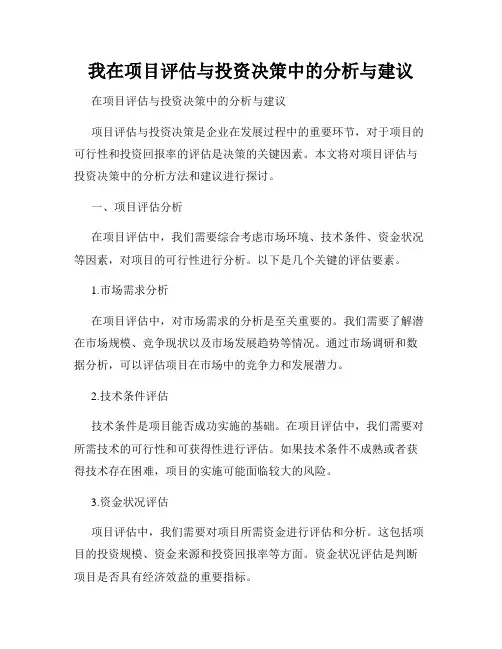 我在项目评估与投资决策中的分析与建议
