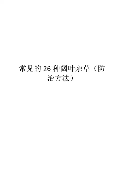 常见的26种阔叶杂草(防治方法)