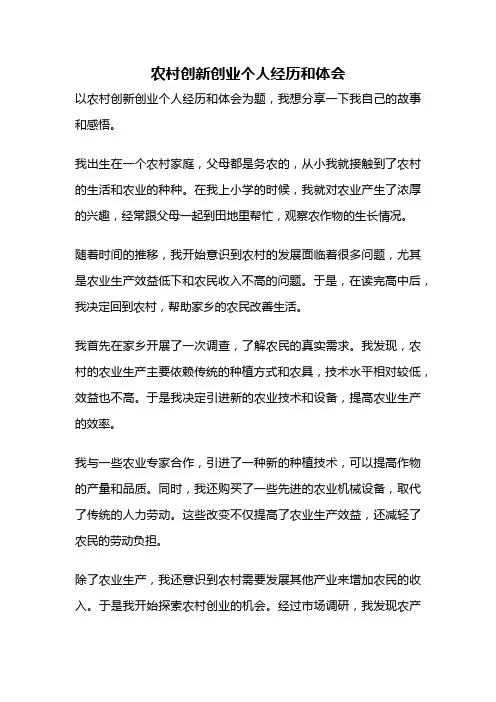农村创新创业个人经历和体会