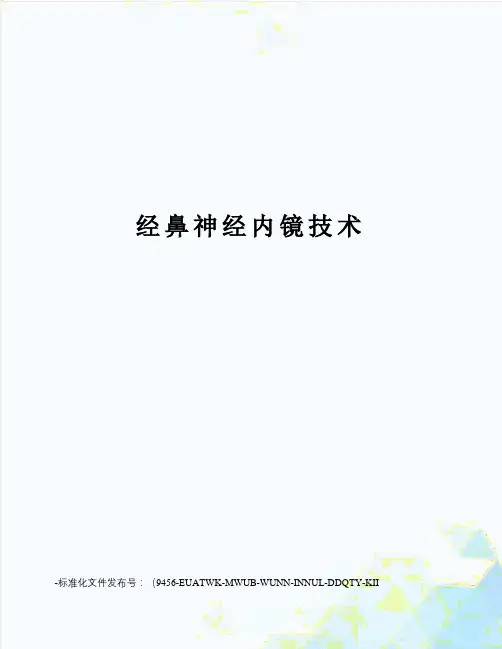 经鼻神经内镜技术