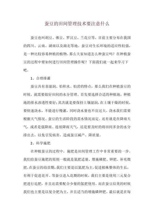 蚕豆的田间管理技术要注意什么