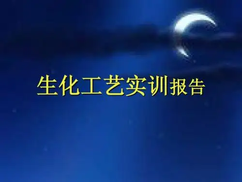 产枯草芽孢杆菌实训报告