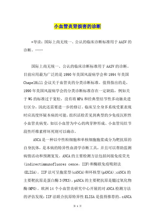 小血管炎肾损害的诊断