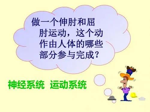 人体的支架——骨骼ppt 苏科版