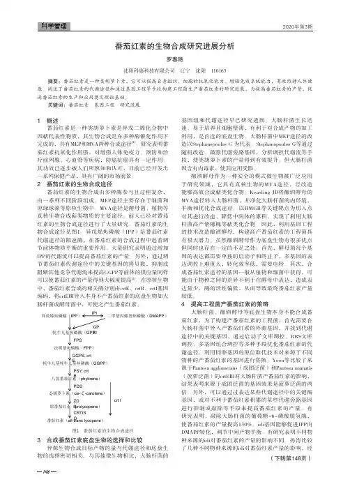 番茄红素的生物合成研究进展分析