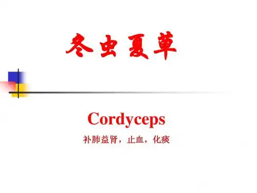 冬虫夏草