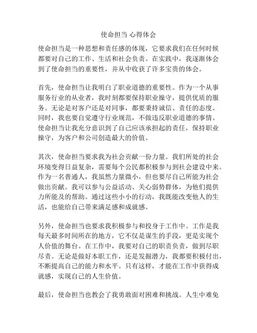 使命担当 心得体会