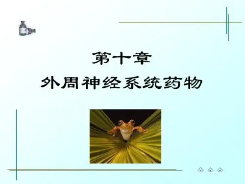 第10章 外周神经系统药物
