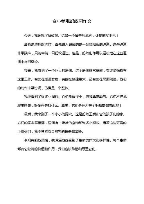 变小参观蚂蚁洞作文