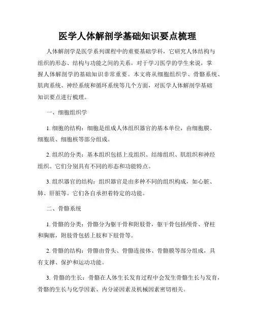 医学人体解剖学基础知识要点梳理